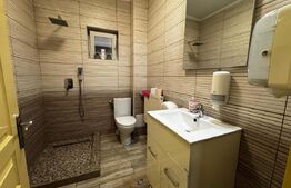 Casă individuală 5 camere de închiriat – 250 mp utili, zonă Centrală