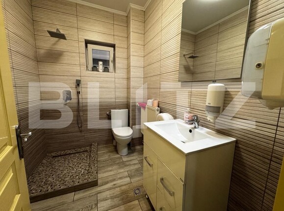 Casa de închiriat 5 camere Central - 182427CI | BLITZ Alba Iulia | Poza11