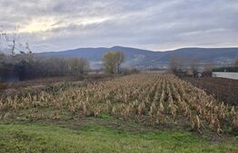 Teren de vânzare Partoș - 124007TV | BLITZ Alba Iulia | Poza3