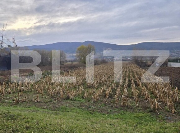 Teren de vânzare Micești - 182472TV | BLITZ Alba Iulia | Poza1