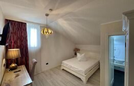 Preluare afacere in chirie, la cheie Pensiune și Restaurant, Alba Iulia