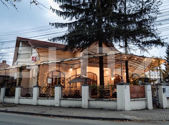Spațiu comercial de vânzare Central - 182611SVC | BLITZ Alba Iulia | Poza1