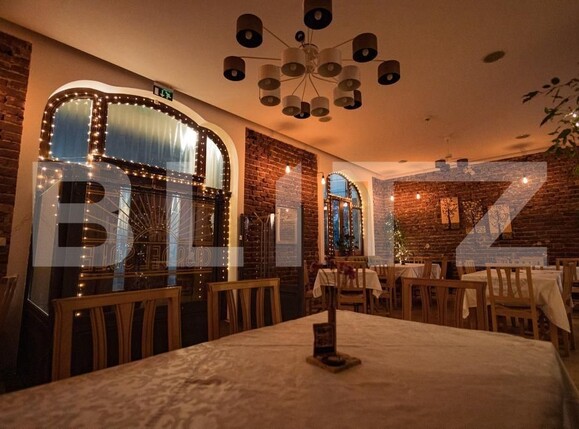 Spațiu comercial de vânzare Central - 182611SVC | BLITZ Alba Iulia | Poza12
