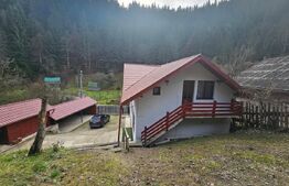 Casa cu 6 camere, Liniște, Natură și Spațiu, Vadul Motilor