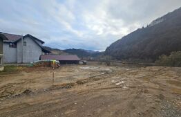 Casă veche cu 4 camere, demisol, teren 300 mp, zona Câmpeni, Mihoeşti