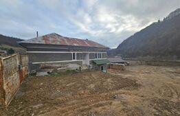 Casă veche cu 4 camere, demisol, teren 300 mp, zona Câmpeni, Mihoeşti