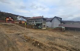 Casă cu 4 camere, demisol şi teren 300 mp, Mihoeşti, Câmpeni