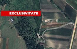 Teren extravilan 5996 mp, zona Valea Sasului - Teius