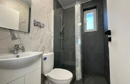 Casă individuală 3 camere, de închiriat - zona Ampoi