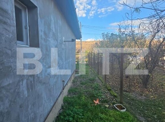 Casa de vânzare 5 camere Ocna Mures - 182916CV | BLITZ Alba Iulia | Poza4