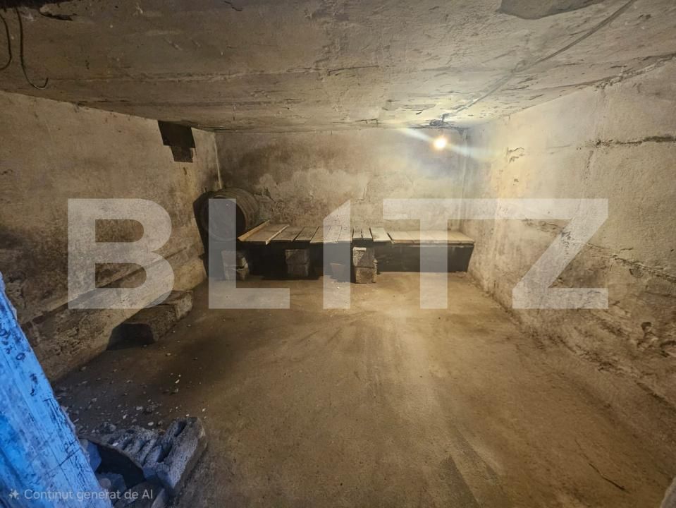 Casa de vânzare 5 camere Ocna Mures - 182916CV | BLITZ Alba Iulia | Poza24