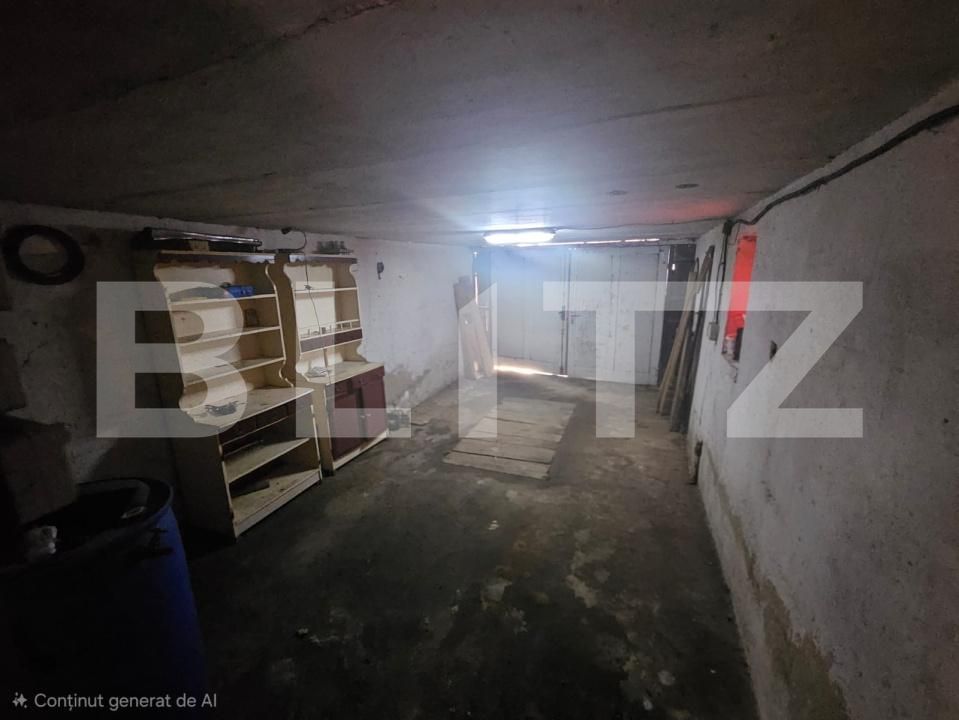 Casa de vânzare 5 camere Ocna Mures - 182916CV | BLITZ Alba Iulia | Poza23