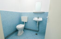 Spatiu comercial de vanzare,Cetate,zona Piata,vad excelent