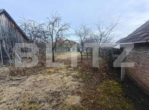 Casa de vânzare 2 camere Cetate - 183044CV | BLITZ Alba Iulia | Poza6