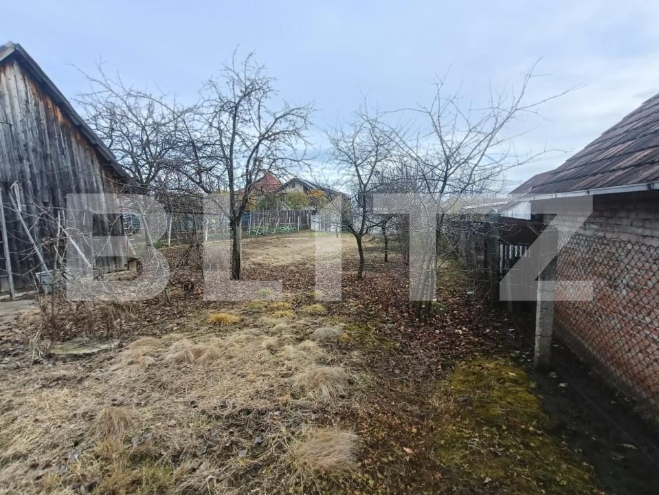 Casa de vânzare 2 camere Cetate - 183044CV | BLITZ Alba Iulia | Poza6