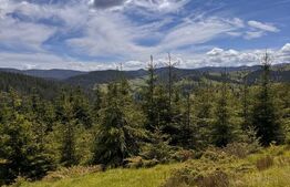 Teren partial intravilan ,9700 mp Oportunitate ,Belis 