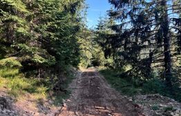 Teren partial intravilan ,9700 mp Oportunitate ,Belis 