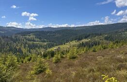 Teren partial intravilan ,9700 mp Oportunitate ,Belis 