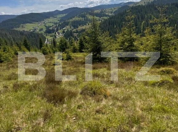 Teren de vânzare Valisoara - 183184TV | BLITZ Alba Iulia | Poza3