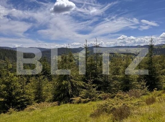 Teren de vânzare Valisoara - 183184TV | BLITZ Alba Iulia | Poza3