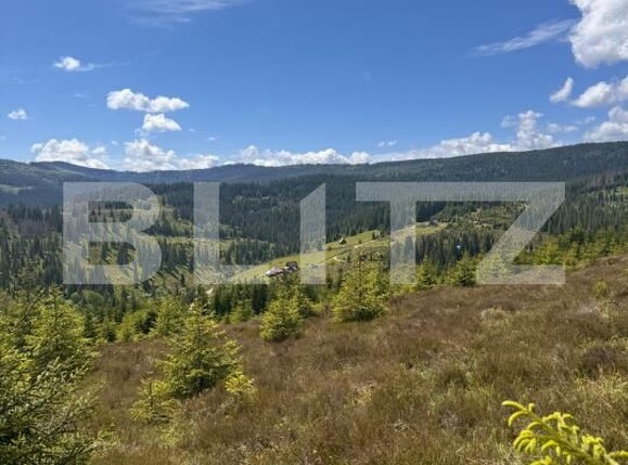 Teren de vânzare Valisoara - 183184TV | BLITZ Alba Iulia | Poza5