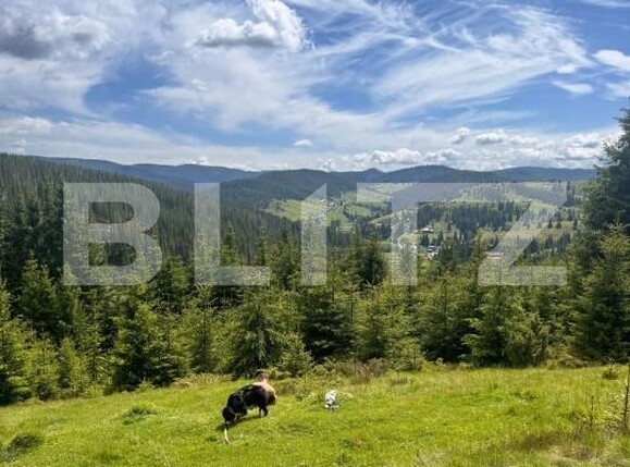 Teren de vânzare Valisoara - 183184TV | BLITZ Alba Iulia | Poza1