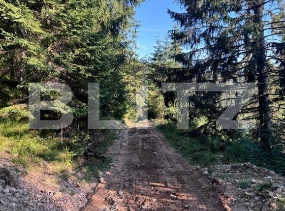 Teren de vânzare Valisoara - 183184TV | BLITZ Alba Iulia | Poza2