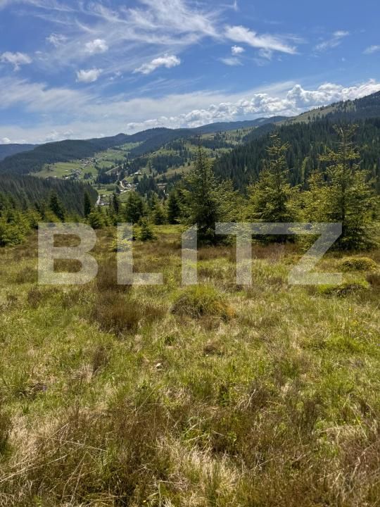 Teren de vânzare Valisoara - 183184TV | BLITZ Alba Iulia | Poza3