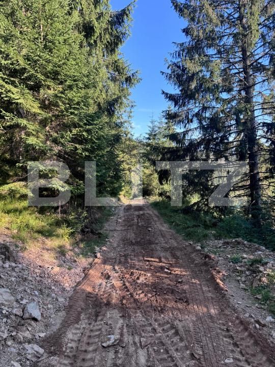 Teren de vânzare Valisoara - 183184TV | BLITZ Alba Iulia | Poza2