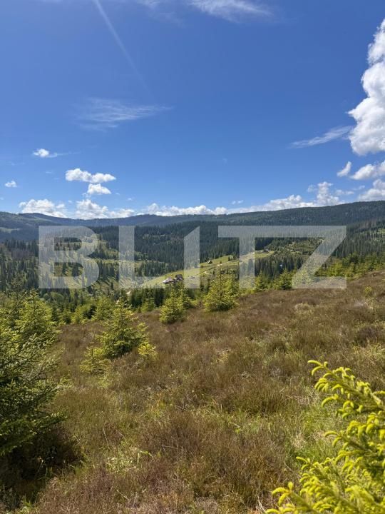 Teren de vânzare Valisoara - 183184TV | BLITZ Alba Iulia | Poza4