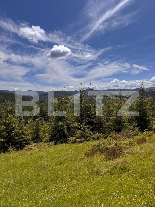 Teren de vânzare Valisoara - 183184TV | BLITZ Alba Iulia | Poza2