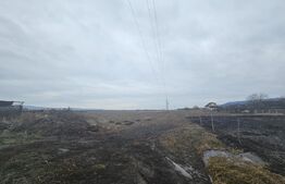 Teren extravilan 9000 mp, Ocna Mureş