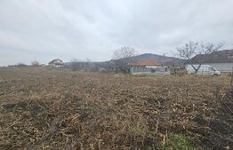 Teren extravilan 9000 mp, Ocna Mureş