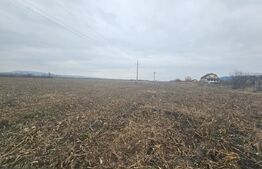 Teren extravilan 9000 mp, Ocna Mureş