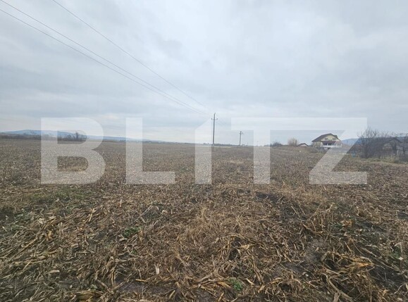 Teren de vânzare Ocna Mures - 183249TV | BLITZ Alba Iulia | Poza4