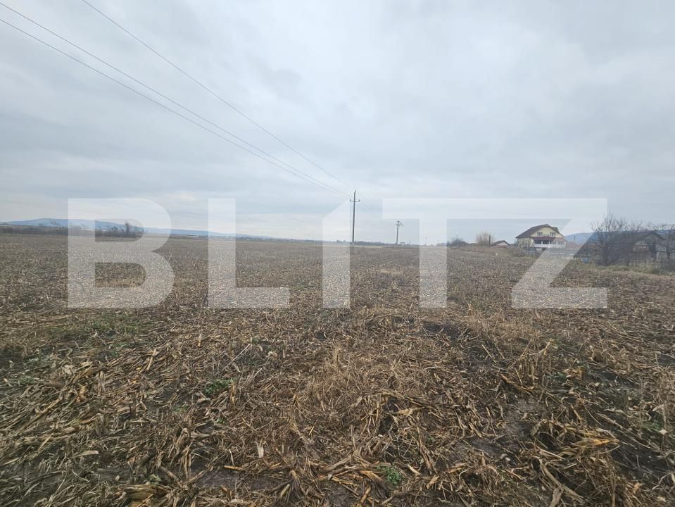 Teren de vânzare Ocna Mures - 183249TV | BLITZ Alba Iulia | Poza2