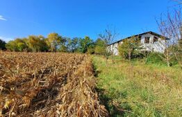 Teren intravilan de 18927 mp, Hala P+1 250 mp, Ocna Mures