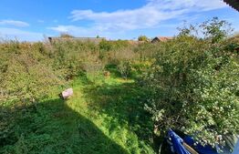 Teren Intravilan de 19000 mp, Ocna Mureş