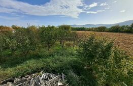 Teren intravilan de 18927 mp, Hala P+1 250 mp, Ocna Mures