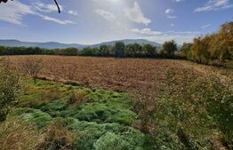 Teren intravilan de 18927 mp, Hala P+1 250 mp, Ocna Mures