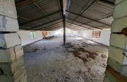 Teren Intravilan de 19000 mp, Ocna Mureş