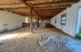 Teren Intravilan de 19000 mp, Ocna Mureş