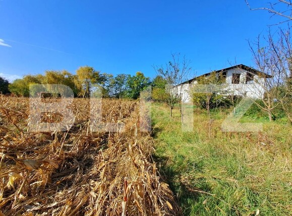 Teren de vânzare Ocna Mures - 183250TV | BLITZ Alba Iulia | Poza3