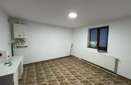 Spatiu comercial, 110 mp, zona Centrala