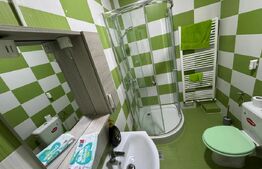 Spatiu comercial, 110 mp, zona Centrala