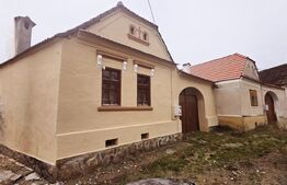 Casa individuala cu doua camere,60 mp utili, 500 mp teren, Carpinis