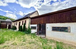 Casa individuala cu doua camere,60 mp utili, 500 mp teren, Carpinis