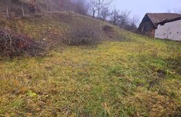 Teren intravilan, 500 mp, perfect pentru casa de vacanta,Garbova de Sebes