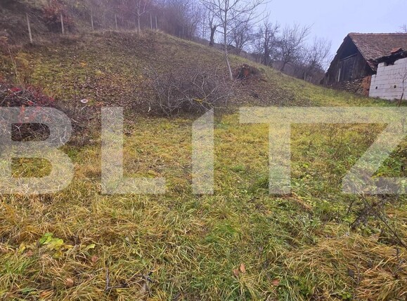 Teren de vânzare Sebeș - 183533TV | BLITZ Alba Iulia | Poza1
