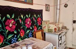 Casă cu 3 camere, ideală pentru locuit sau casă de vacanță – Almașu Mare
